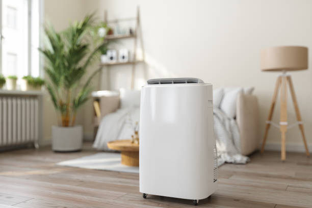 Best Heating repair services  in Susitna North, AK